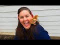 Raising Rhode Island Red Chickens for Eggs 3 day Old Chicks! Setting Up the Brooder!