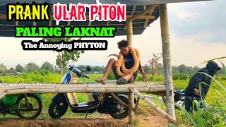 Video Lucu || Prank Paling Laknat || Ular Piton Bikin Emosi 🤣🤣 || Aksi Terlucu