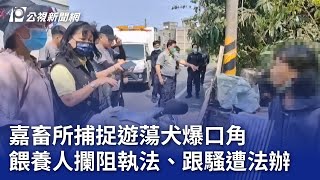 嘉畜所捕捉遊蕩犬爆口角 餵養人攔阻執法、跟騷遭法辦｜20241128 公視晚間新聞