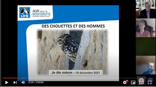 Je dis Nature - Chouette Chevêche : apprenez à la connaître et la protéger