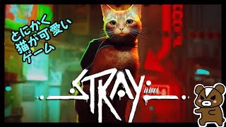 ✴第3回！STRAY！話題の「かわいい猫」になってサイバーパンク都市を冒険するゲーム　#stray