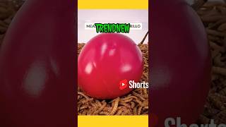 1000 പുഴുക്കളിൽ Fruits വെച്ചാൽ എന്ത് സംഭവിക്കും  😱😱 #shorts #m4tech #mrzthoppi