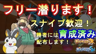 【ポケモンUSUM】初見さん歓迎！僕に勝てば育成済みゲット！？