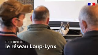 Rejoindre le réseau Loup-Lynx