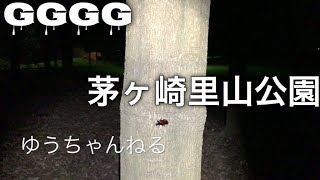 ＧＧＧＧ茅ヶ崎里山公園