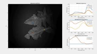 HinaLea Hyperspectral Imaging - Leaf Reflectance