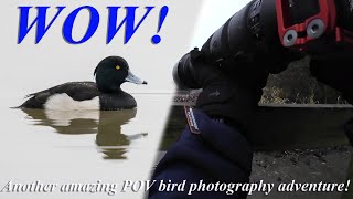 Capturing these AMAZING waterbirds like a pro! UK Bird photography