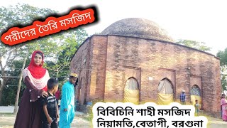 বিবিচিনি শাহী মসজিদ | পরীদের তৈরি মসজিদ | নিয়ামতি | বেতাগী | বরগুনা | vlog shakil rana SR