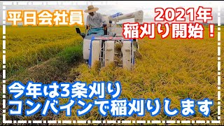 2021年稲刈り開始！農家さんにコンバイン借りました【平日会社員】Japanese rice harvesting