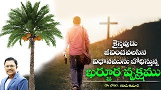 Lessons From Palm Tree - ఖర్జూరవృక్షము - క్రైస్తవ జీవిత పాఠాలు - Dr. Noah