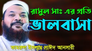 রাসূল সাঃ এর আল্লামা কামরুল ইসলাম সাঈদ আনসারী Allama Kamrul Islam Said Ansari