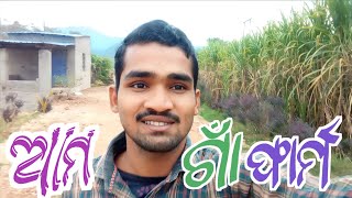 ଆମ ଗାଁ ଫାର୍ମ 🤪Ama gaon farm ||Odia vlog video #bracketAshu #vlogodia #vlogs #odia