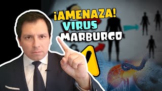 ¡FILOVIRUS! AMENAZA LETAL REAL - VIRUS DE MARBURGO & ÉBOLA