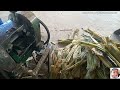 ua suab thaj noj peb caug 2024 sugar cane juice