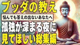 【総集編】幸せのカギを発見するための仏教の教え【作業・睡眠用】