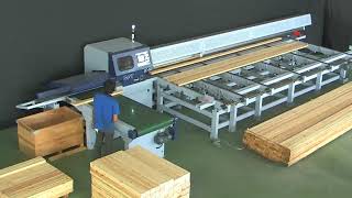 SC-303 橫向優化選料切斷機 Optimizing cut off saw