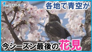 【各地で青空が広がる】今シーズン最後の花見を楽しむ人の姿も　鳥取県・島根県