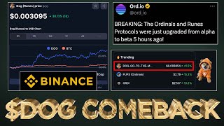 $DOG Explodes over 33% 🤯 What's Next?