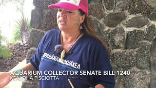 Kealoha Pisciotta  Aquarium Collector Bill