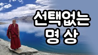 선택없는 명상