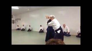 New York Aikikai Seminar Dec 2015 - Yamada Sensei, Katatetori Techniques