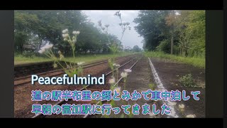 道の駅半布里の郷とみかで車中泊して早朝の富加駅に行ってきました