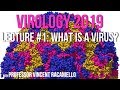 Virology Lectures 2019 #1: What is a virus?