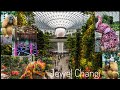 Discover Changi: Best things to do in Jewel Changi airport,Singapore| World's best airport full tour