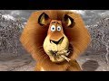 DreamWorks Madagascar | Alex's Best Moments Compilation | Madagascar Funny Scenes | Kids Movies