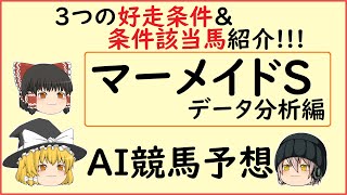 【マーメイドステークス2020】レースデータを調べて見た