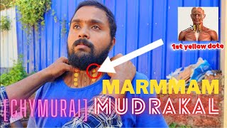 study 14 and 15 mudrakal,marmmam (ശിവ മർമ്മ കളരി) SELF DEFENCE