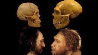 Neanderthals Vs. Homo Sapiens: A Dietary Showdown  #neanderthal #homosapien #die