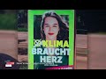 neue vorwürfe gegen schilling grüne im kreuzfeuer links. rechts. mitte