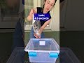 The Fastest Way to Empty a Bottle | Everyday Awesome