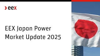 Japan Power Market Update 2025