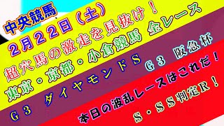 【競馬予想】競馬波乱予報　２月２２日（土）　中央競馬＆地方競馬　全レース予想！