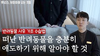 반려동물과 이별하고 난 뒤, 무엇을 해야 할까 ㅣ펫로스, 사랑 후에 오는 것들ㅣ