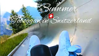 Mountain Coaster🇨🇭Summer Toboggan Ride in Oeschinensee Kandersteg / Alpine slides Adventures (4K)