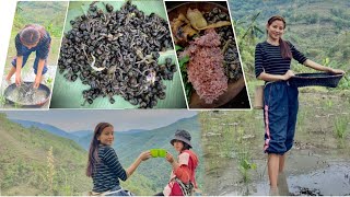 catch snails🐌 at paddy field|| snail with pork || naga_girl || siblings_❤||