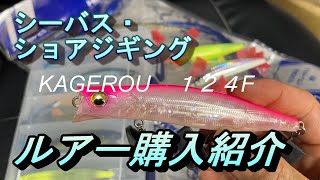 レアルアー発見、そりゃ買うでしょ　（ショアジギング　シーバス　カゲロウ　サイレントアサシン　タックル紹介）