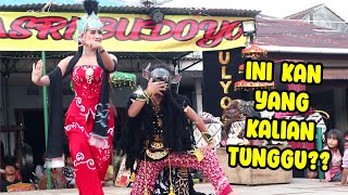 INI KAN YANG KALIAN TUNGGU?? KEBO GIRO RETMO ASRI BUDOYO