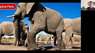 Botswana Safari 101 Webinar - Apr 16, 2020