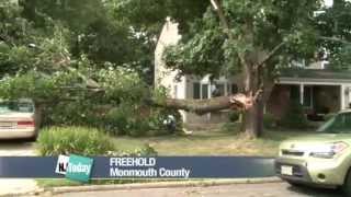 Massive Clean-up Underway in Freehold After Weekend Storm