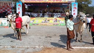 రెంటచింతల గ్రామం జూనియర్ విభాగం 2వ జత యర్రసాని సుబ్బయ్య గారు* పమిడిమర్రు గ్రామం పల్నాడు జిల్లా