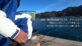 2019/2/23三重県賀田湾元丸渡船　チヌかかり釣り