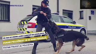 V policiji se vedno lahko zaneseš na svoje sodelavce