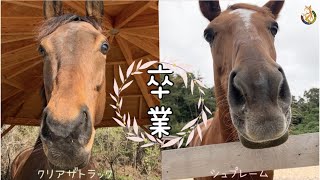 【TCC】クリアザトラック卒業🌸\u0026シュプレーム新天地へ✨【horse shelter】引退競走馬2021.10.10