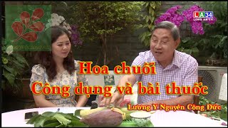 HOA CHUỐI CÔNG DỤNG VÀ BÀI THUỐC - Lương Y Nguyễn Công Đức