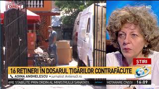 Adina Anghelescu, despre dosarul ţigărilor contrafăcute