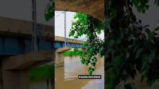 Nadrai river bridge kasganj 🌺🌺#shorts #ytshorts #viral #subscribe #cute